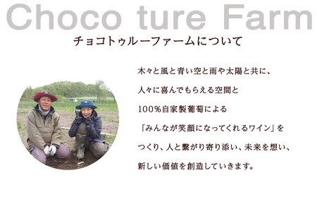 千歳ワイン2022（Chitose Wine）750ml 1本※ギフトボックス無し