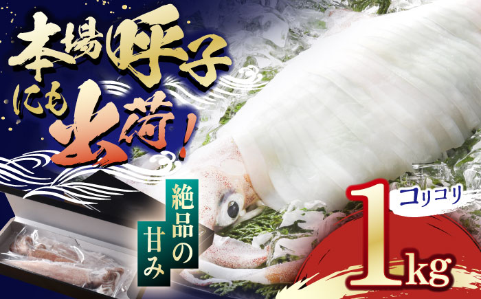 極鮮ヤリイカ 約1kg【海隆丸】[KAB108]/ 長崎 平戸 魚介類 イカ いか ヤリイカ 真空パック 小分け 贈物 贈答 プレゼント