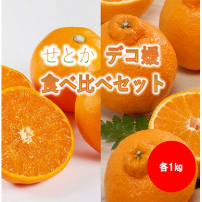 【ふるさと納税】みさき果樹園の大人気せとか・デコ媛各1kg【B21-59】【1705328】