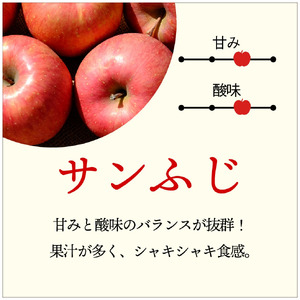 【先行予約】令和6年産 りんご サンふじ 訳あり 3kg (8～11玉)  11月中下発送予定 数量限定 人気 お試し 甘い 旬 果物 リンゴ フルーツ 林檎 岩手県 金ケ崎町