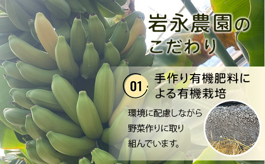 貴重！鹿島産バナナ 約1kg（5～8本）｜岩永さんちのバナナ 安心安全 栽培期間農薬不使用 上品な甘さ＆もちもち食感 生産者直送 おやつ 朝食 国産 果物 フルーツ ばなな 佐賀県 鹿島市 人気 B-