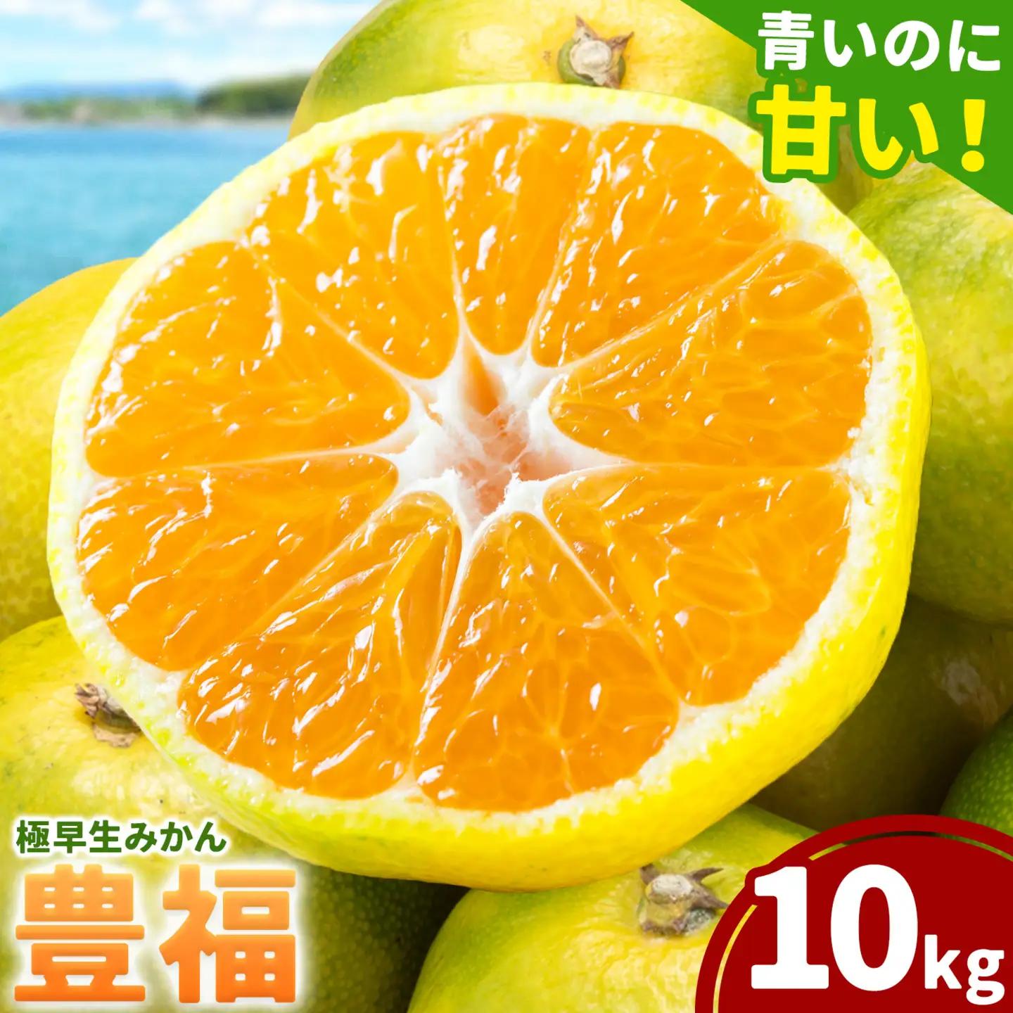 【先行予約】みかん 極早生みかん 豊福 10kg