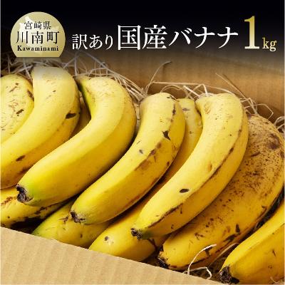 ふるさと納税 川南町 【訳あり】国産バナナ1kg