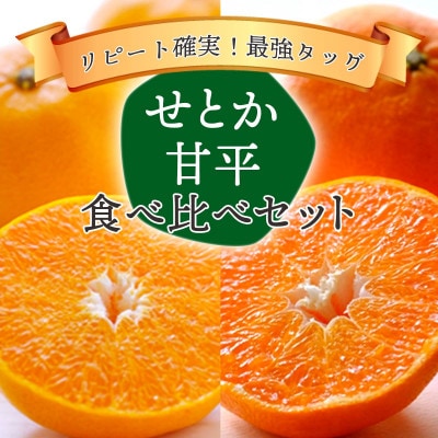 愛媛の人気柑橘をセットに!せとか・甘平 食べ比べセット【訳あり】【F25−196】【複数個口で配送】【4066397】