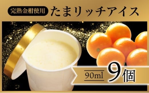 AQ-A1 串間市産きんかんたまたま使用！たまリッチアイス詰合せ(9個)【たまたまクラブ】【AQ-A1】
