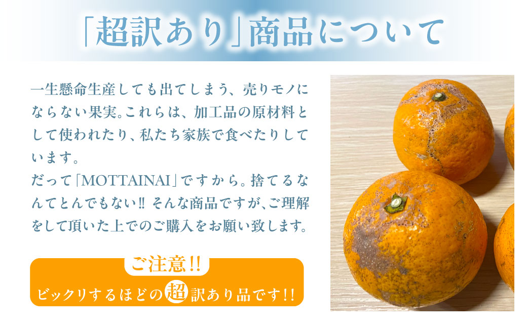 【先行受付】【※超訳あり】清見オレンジ 10kg ※離島への配送不可（2026年3月中旬より順次発送） IKTAB010 