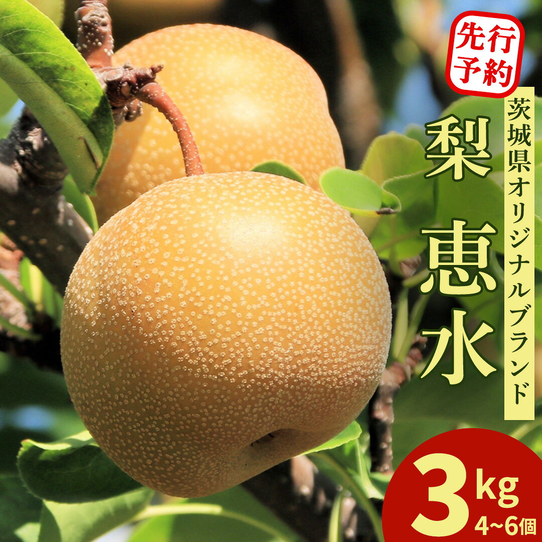 【ふるさと納税】恵水 大玉サイズ 約3kg 4〜6個 梨 茨城県オリジナルブランド品種 先行予約 2026年発送 完熟 フルーツ 果物 産地直送 糖度 高い 梨 茨城 人気