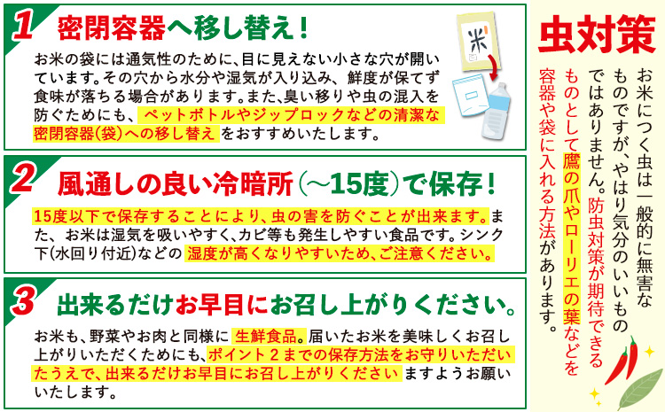 米 無洗米 早期先行予約受付中 訳あり 5kg 熊本県産 阿蘇びより《11月-12月頃出荷予定(土日祝除く)》 お米 熊本県 南阿蘇村 阿蘇---mna_aby_24_m_5kg_10000_af11