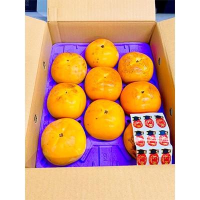 ふるさと納税 水俣市 熊本県水俣市産　太秋柿 約2kg入り(水俣市) |  | 01