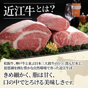 近江牛 特選サーロインステーキ 300g ( 150g × 2枚 ) 牛 牛肉 和牛 厚切り 黒毛和牛 国産 