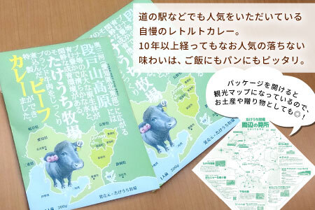 お肉がごろっと入った！たけうち牧場のビーフカレー お試し 1個 国産牛 ご当地カレー カレー 中辛 ブランド牛カレー レトルトカレー スパイス 段戸牛カレー  -217