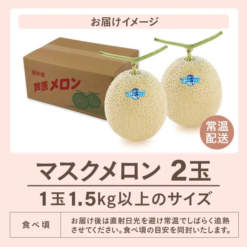 【先行予約】青肉マスクメロン（1.5kg以上 2玉入）味も見た目も抜群！アールスメロン  / あわら 期間限定 果物 フルーツ 産地直送 青肉 人気 ギフト 贈答 ※2026年7月上旬より順次発送  