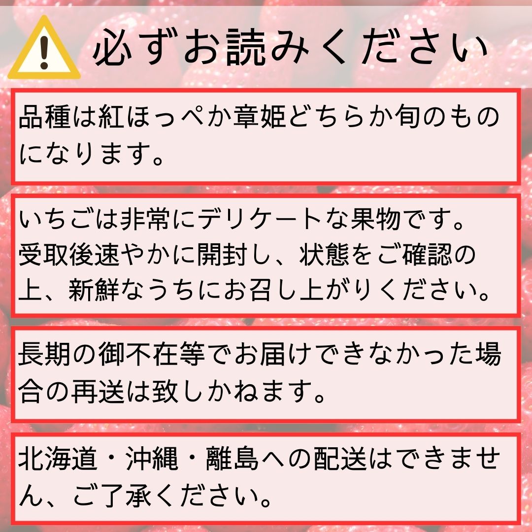 いちご (紅ほっぺ or 章姫) デラックスサイズ 400g以上