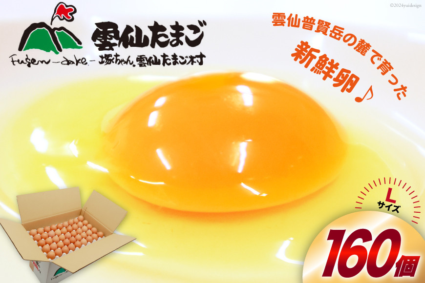 
                  CI029 どっさり！ 雲仙たまごLサイズ 160個(150個＋割れ補償10個入り) [ 卵 たまご 生卵 鶏卵 赤卵 玉子 新鮮 塚ちゃん雲仙たまご村 長崎県 島原市 ]
                