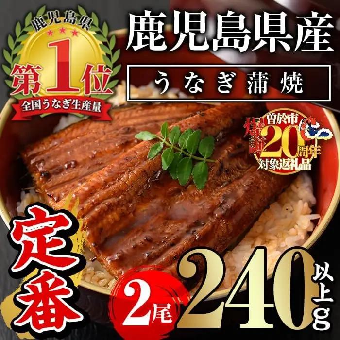 無投薬 鹿児島県産 うなぎ 蒲焼 セット ＜定番＞(計240g以上・ 約120g×2尾) タレ・山椒付き【西日本養鰻】A730
