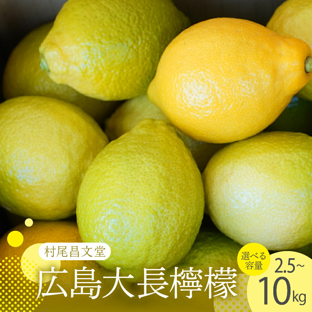 【ふるさと納税】先行予約 国産檸檬（レモン）発祥の地 広島大長檸檬 2.5kg / 5kg / 10kg【2025年11月上旬～発送】瀬戸内 檸檬 レモン 生産量日本一の広島 産地直送 果物 柑橘 フルーツ 12月初旬まではグリーンレモン それ以降はイエローレモン 先行受付 大容量 広島県 呉市