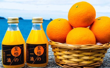 【無添加】田村みかんの新鮮100％ジュース「至極の一滴」180ml×12本入り/ジュース みかんジュース ストレート ミカン 蜜柑 フルーツ 【tec936A】