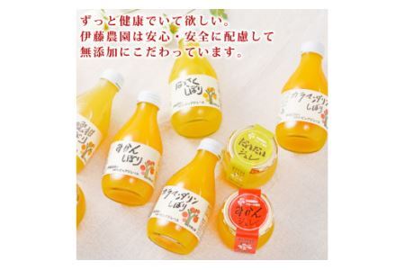 伊藤農園 100％ピュアジュース みかんしぼり750ml×9本(B636-3)