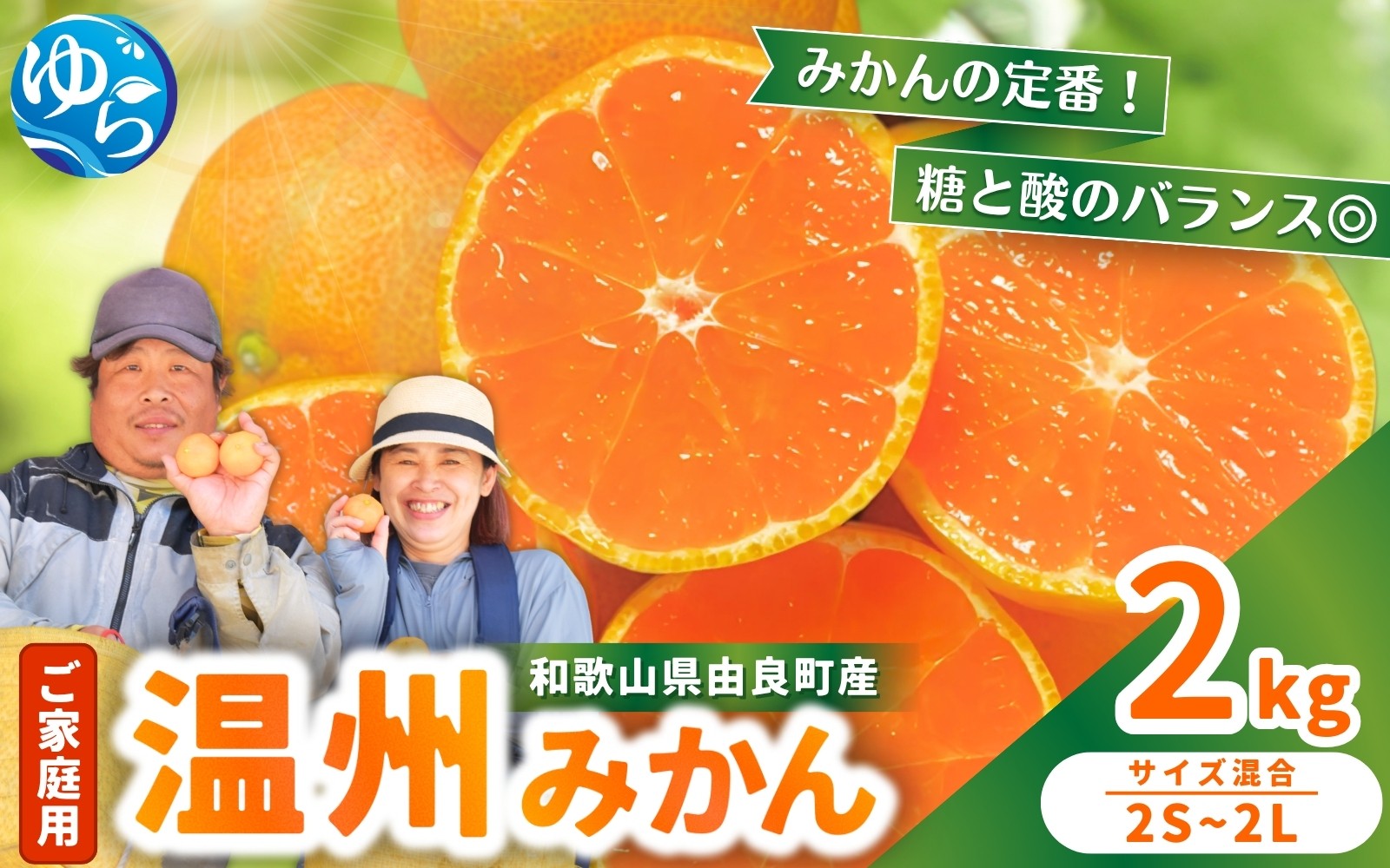 
                  家庭用 温州みかん 2kg / 農家直送 くだもの  果実  柑橘 果物 フルーツ 国産 和歌山県 由良町 ご家庭用 人気 おすすめ  ※2026年11月中旬頃～12月下旬頃に順次発送予定【nktn004-c-2】
                