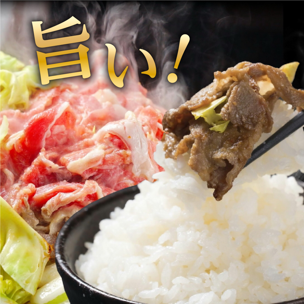 元祖 義経焼 4人前 あんじゃも南蛮 セット ( 義経焼 2人前 340g × 2 味噌だれ付 / あんじゃも南蛮 1個 ) ジンギスカン 羊肉 義経 味噌焼き 味噌 味噌ダレ たれ 南蛮 南蛮唐辛子