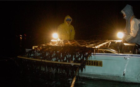 【全3回定期便】こだわりの技術で美味しいが続く！有明海の焼きのり 全型銀4帖（全型10枚分×4）吉野ヶ里町[FCO004]