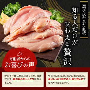 地鶏 丹波黒鶏 むね肉 地鶏【2kg】