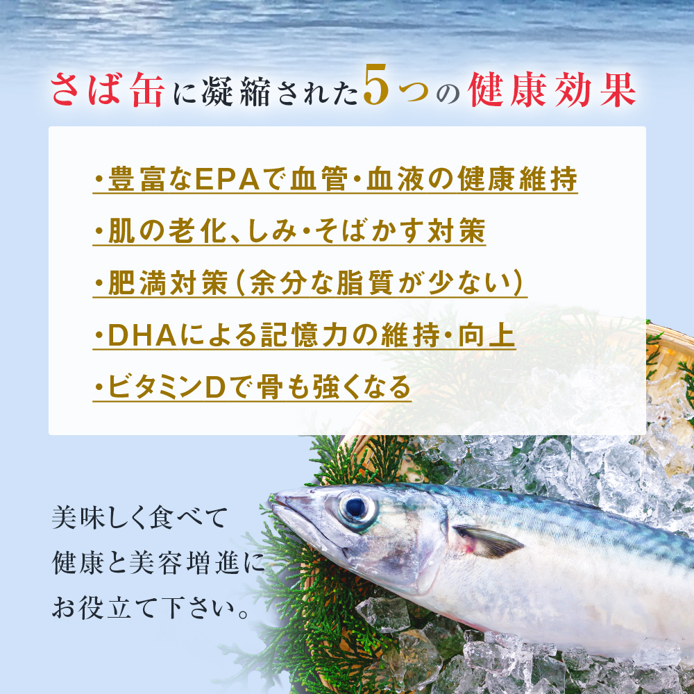 【11月配送】缶詰 さば缶詰 水煮 12缶 サバ缶 鯖缶 さば缶 鯖