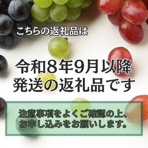【令和８年分 先行予約】シャインマスカット 約1kg《山本観光ぶどう園》