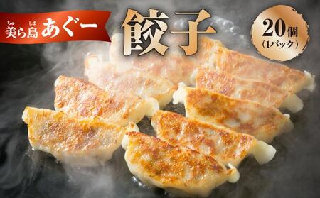 【美ら島あぐ～】餃子（20個入り／1パック×20個入り）   I  アグー豚 あぐー豚 あぐ～豚 豚肉 ぶた肉 ブランド豚 餃子 ぎょうざ 冷凍食品 おかず おつまみ   沖縄県 南城市