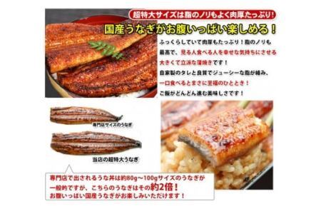 【数量限定】超特大サイズ国産うなぎ蒲焼き2本セット （230～249g×2本）(B632-3)