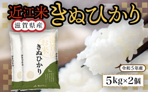 近江米　きぬひかり　白米10㎏ 令和6年産  BD02