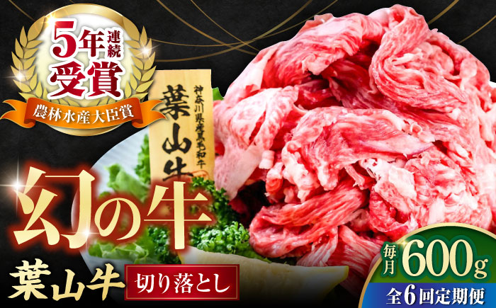 【全6回定期便】葉山牛 切り落とし300g×2パック 計600g【株式会社羽根】 [AKAG028]