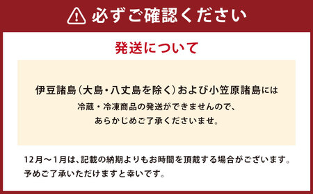 長崎県産 アジフライ 電子レンジorトースターで温めるだけ！ ／ あじ アジ 鯵 フライ 簡単調理 お手軽 揚げ物 長崎県 長崎市