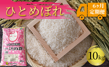 6ヶ月 定期便 米 10kg ひとめぼれ 白米 お米 1等米 精米 ご飯 朝食 昼食 夕食 国産 岩手県 大船渡市