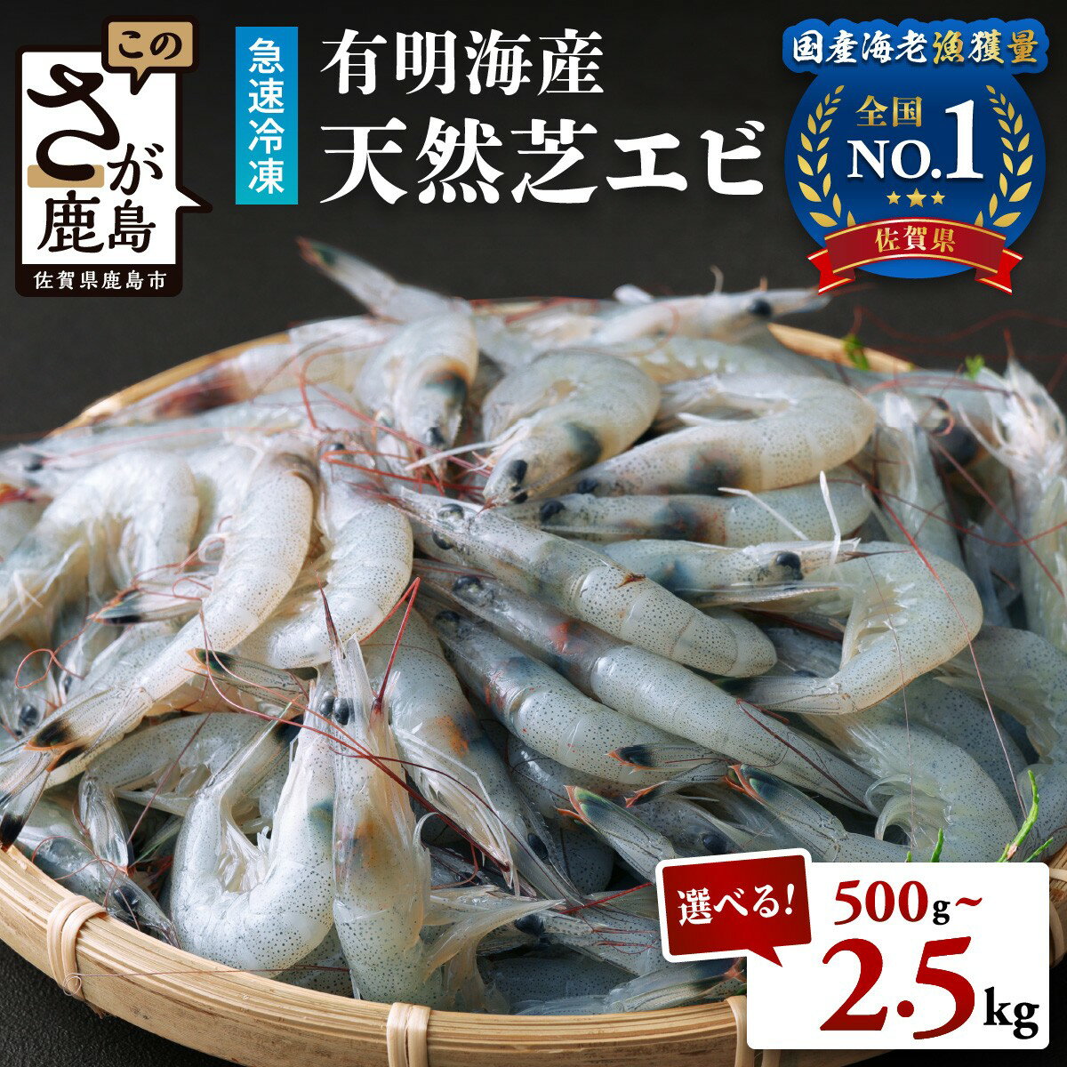 有明海産 芝エビ 真エビ 3kg | ふるさと納税 えび 海老 芝海老 国産 佐賀県 鹿島市 ふるさと 人気 送料無料