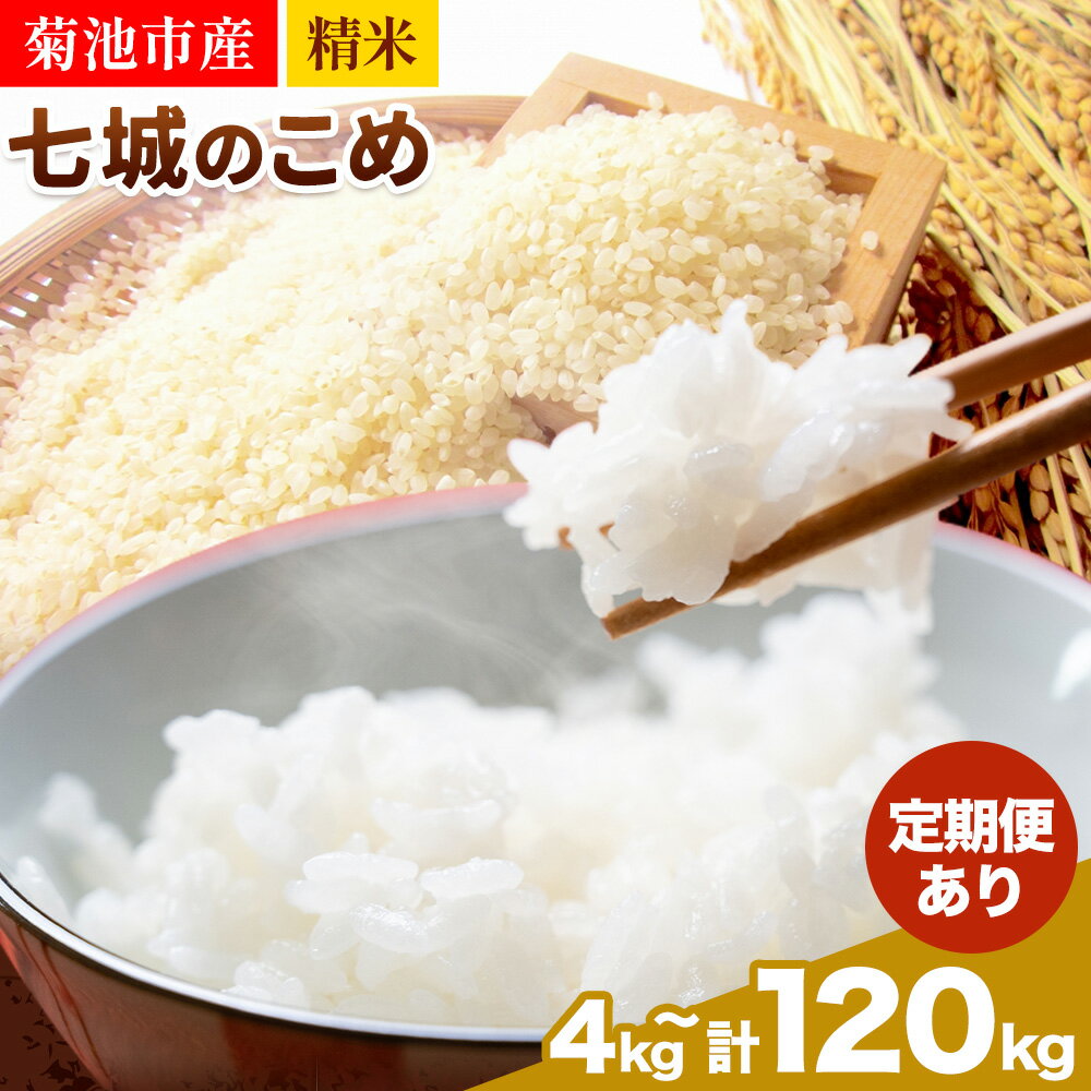 【ふるさと納税】【定期便あり】令和7年産 精米 七城のこめ 選べる内容量 4kg 5kg 6kg 8kg 10kg 15kg 20kg《30日以内に出荷予定(土日祝除く)》熊本県 菊池市 米 白米 ヒノヒカリ でんすけ農場