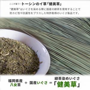 い草玄関マット　DXダイヤ　67×120　ワイン