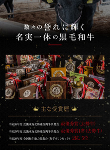 数々の誉れに輝く最高峰 黒毛和牛「平井牛」ミックスホルモン 500g 京都 丹波牧場 自家産≪レバー・ハツ・小腸・大腸・赤セン・センマイ・ギアラ 希少 A5 和牛 国産 ホルモン 冷凍 ふるさと納税≫