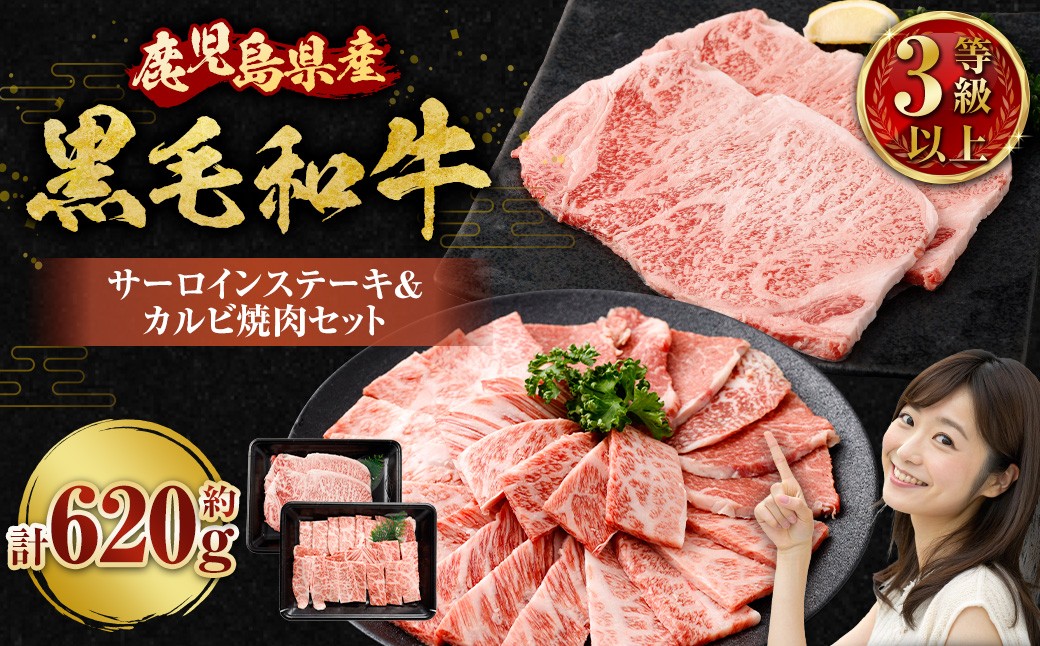 
                  【鹿児島県産】 黒毛和牛 サーロインステーキ＆カルビ焼肉セット 合計約620g 肉 お肉 にく ニク 牛肉 サーロイン カルビ ステーキ 焼肉 詰め合わせ 冷凍 スターゼン 鹿児島県 薩摩川内市 BS-3121
                