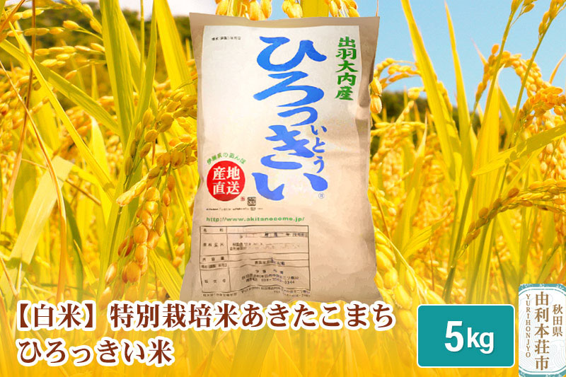 【白米】 秋田県産 あきたこまち 5kg 令和6年産 特別栽培米 ひろっきい米|08_tks-010501