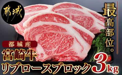 都城産宮崎牛リブロースブロック3kg_DI-2501