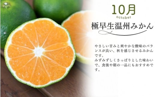 【全3回】仲森農園の柑橘定期便 合計3種 30kg 【超極早生温州「みえ紀南一号」・極早生温州・由良早生】 みかん ミカン 蜜柑 温州みかん 温州ミカン 柑橘 みかん定期便 フルーツ定期便 果物定期便