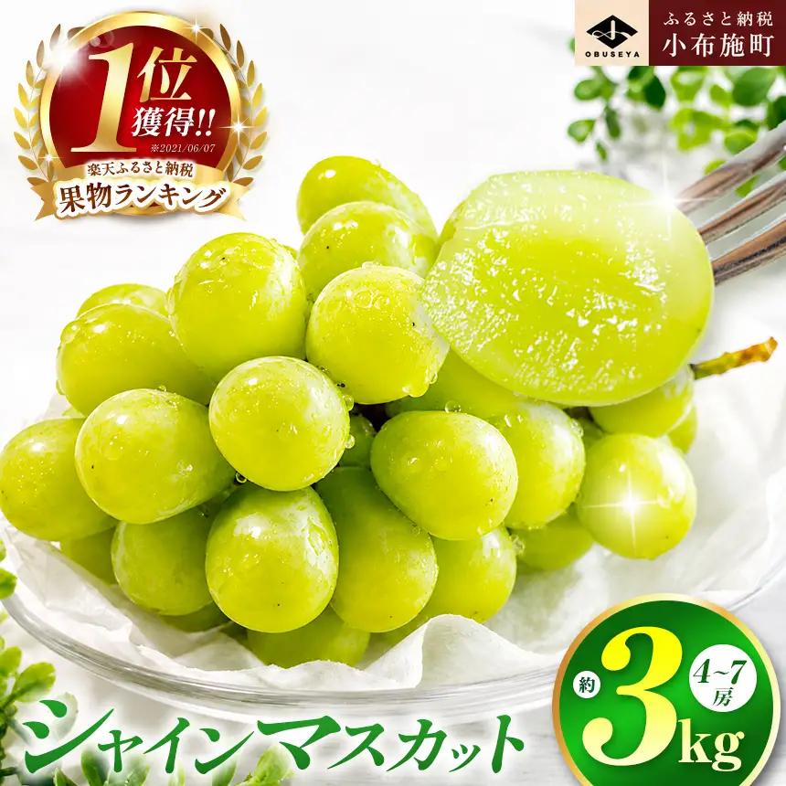シャインマスカット 約3kg 4～7房 ［小布施屋］令和8年産 【2026年9月20日頃～11月頭にかけて順次発送】[C-5]