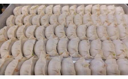 手作り冷凍生餃子 100個 計2.45kg ＋ラー油セット ぎょうざ ギョーザ 肉汁 中華 食べるラー油 ご飯 晩ご飯 焼き 水餃子 グルメ 栃木県 壬生町