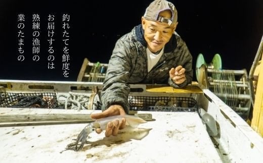 【島の贅沢煮漬け】白いかの我がとこ煮付け5パックセット 高級白いか15杯入り