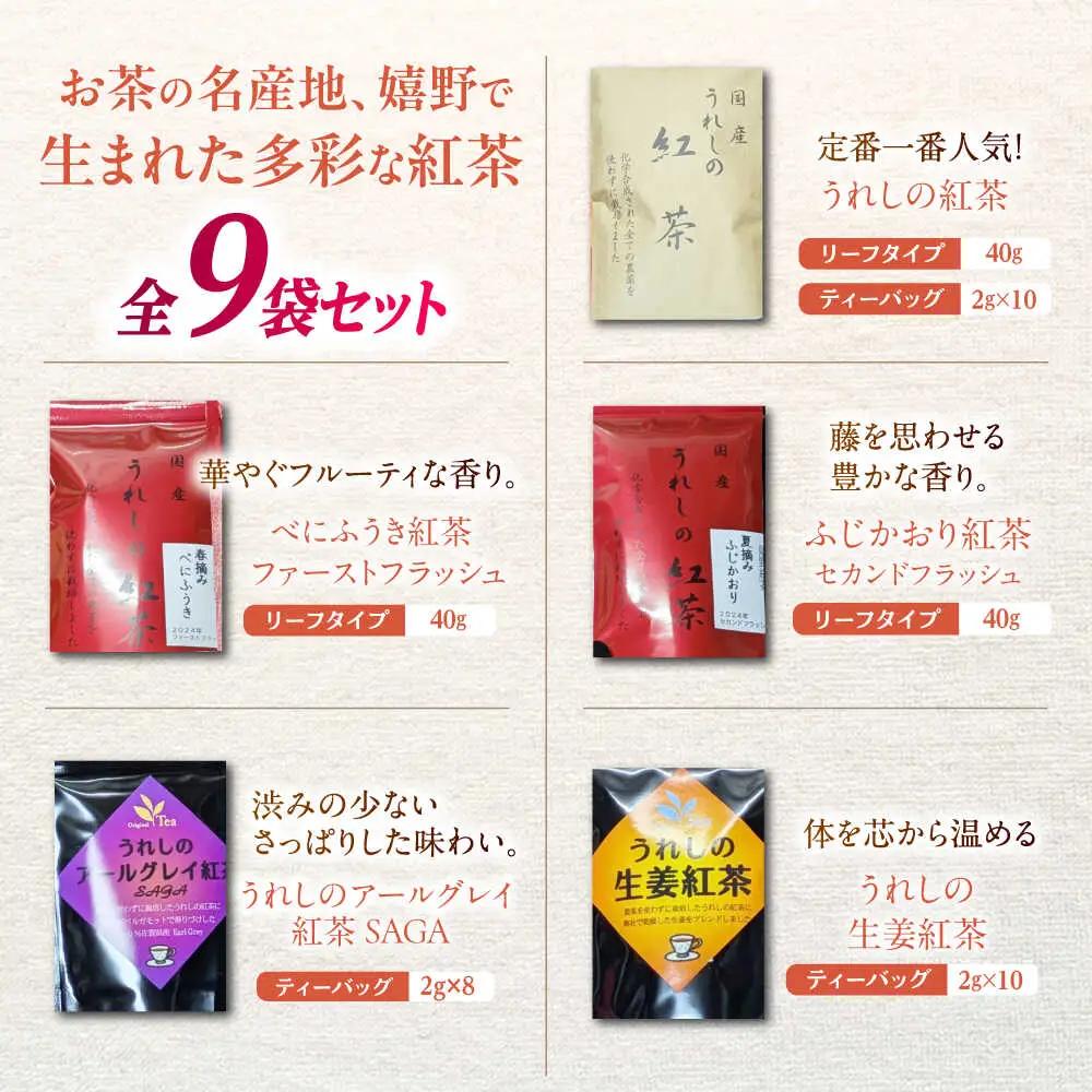 紅茶 うれしの紅茶生産者USセット NAP007 