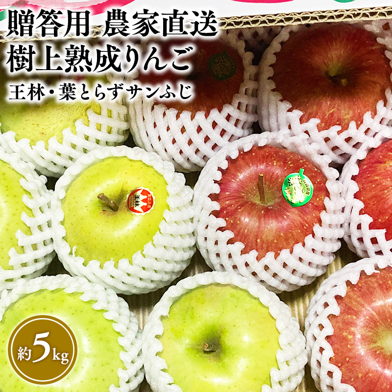 【11～12月発送】贈答用 農家直送 樹上熟成りんご 王林・葉とらずサンふじ 約5kg【平川市産・青森りんご】