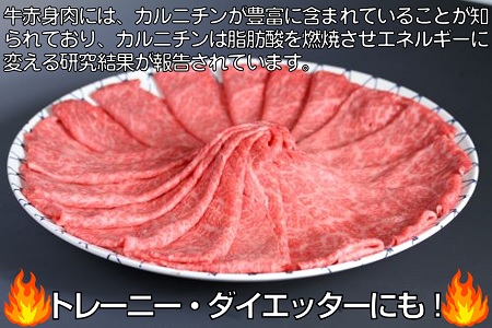 A5等級保証　佐賀牛「赤身肉」モモスライス　800g：B033-007