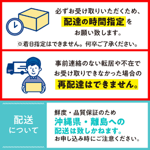 北海道十勝芽室町　廣田農園の白いスイートコーン 10本  me031-001-24c