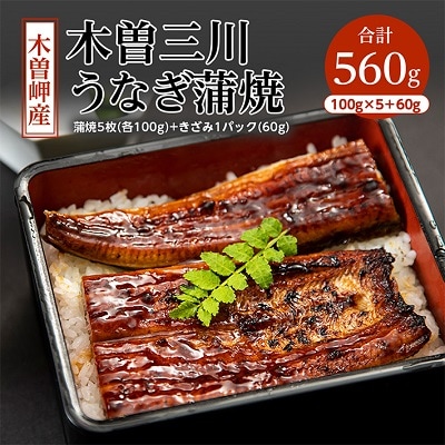 【2023年6月上旬発送】木曽岬産「木曽三川うなぎ」うなぎ蒲焼5枚100g+おまけ60g付【配送不可地域：離島】